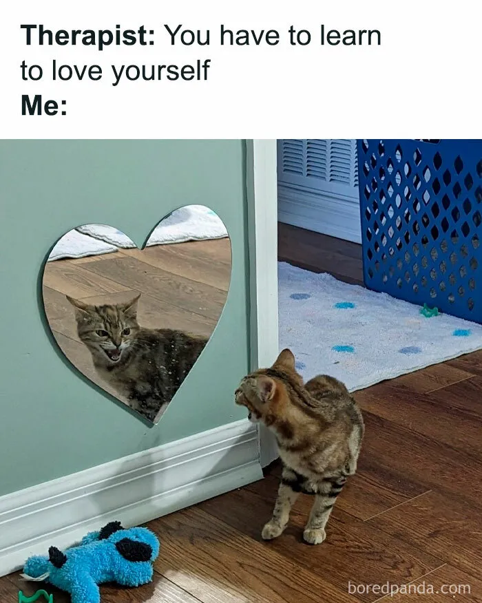 50 Hilarious And Adorable Cat Memes That Prove Why The Internet Loves Them So Much (New Pics)