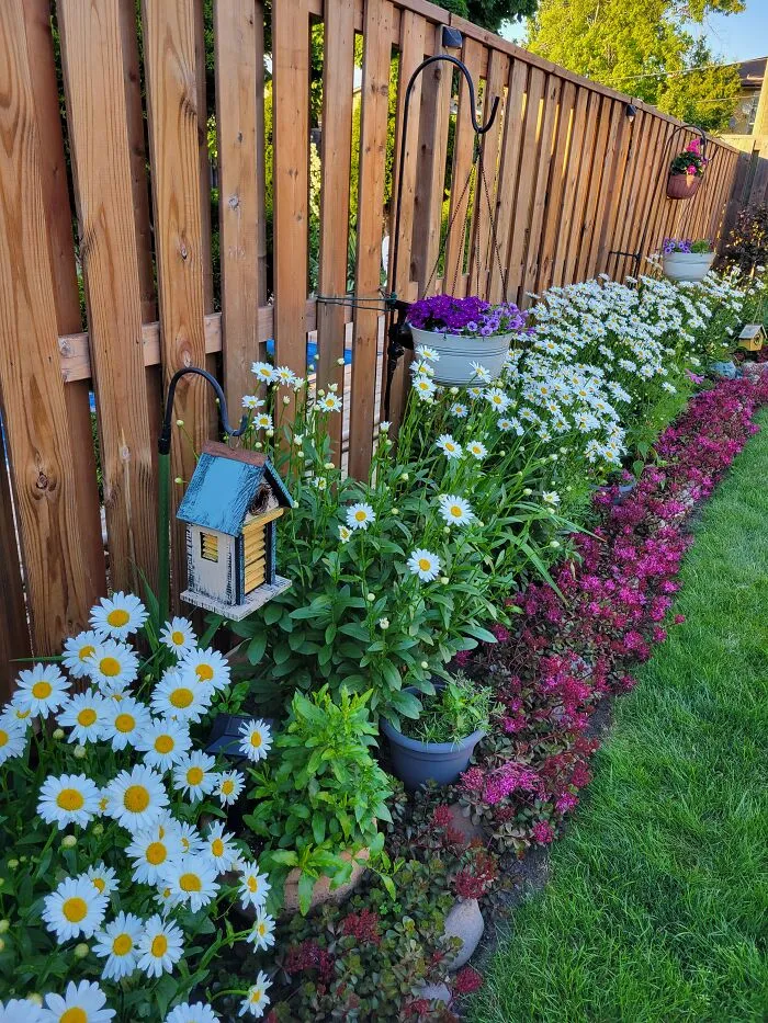 Flora's Garden