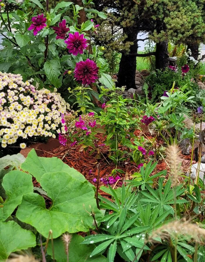 My Urban Oasis