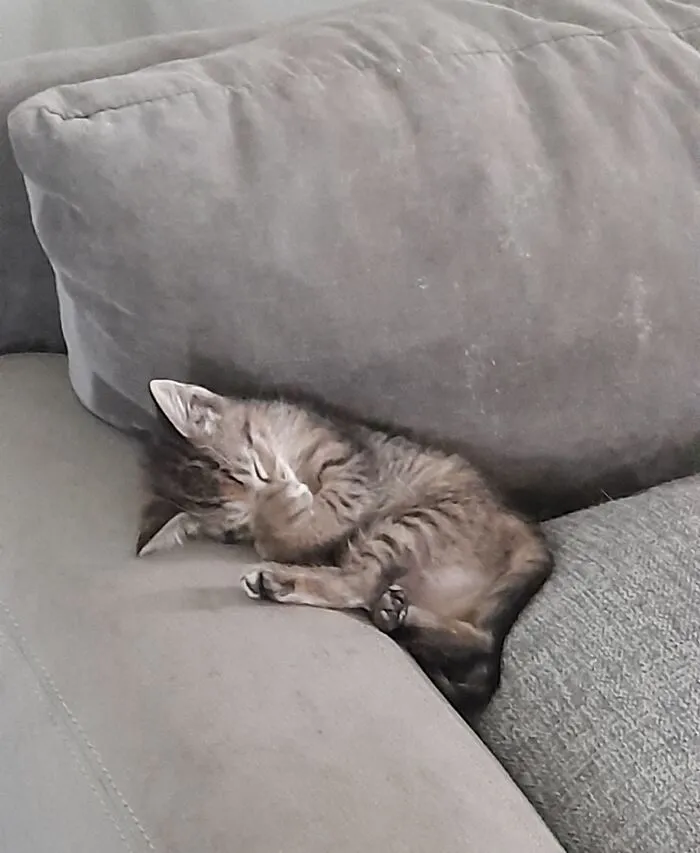 Keke Stealing My Spot