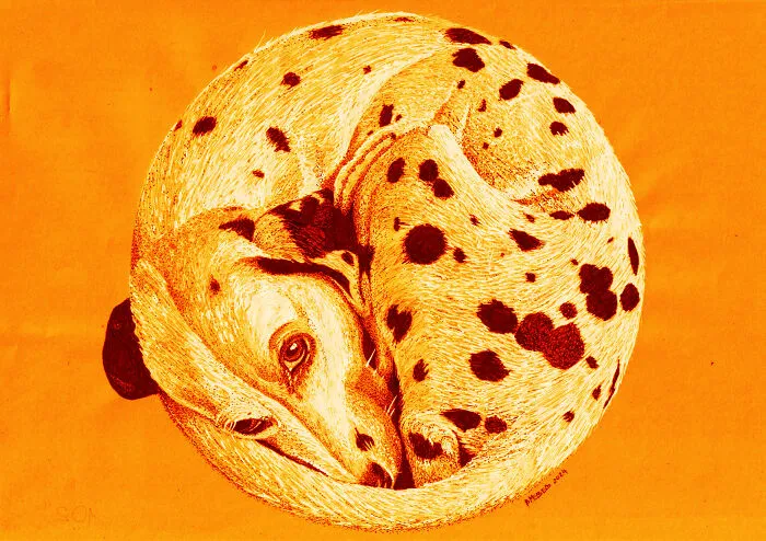 I Made White And Black Dot Drawings On Orange Paper (13 Pics)