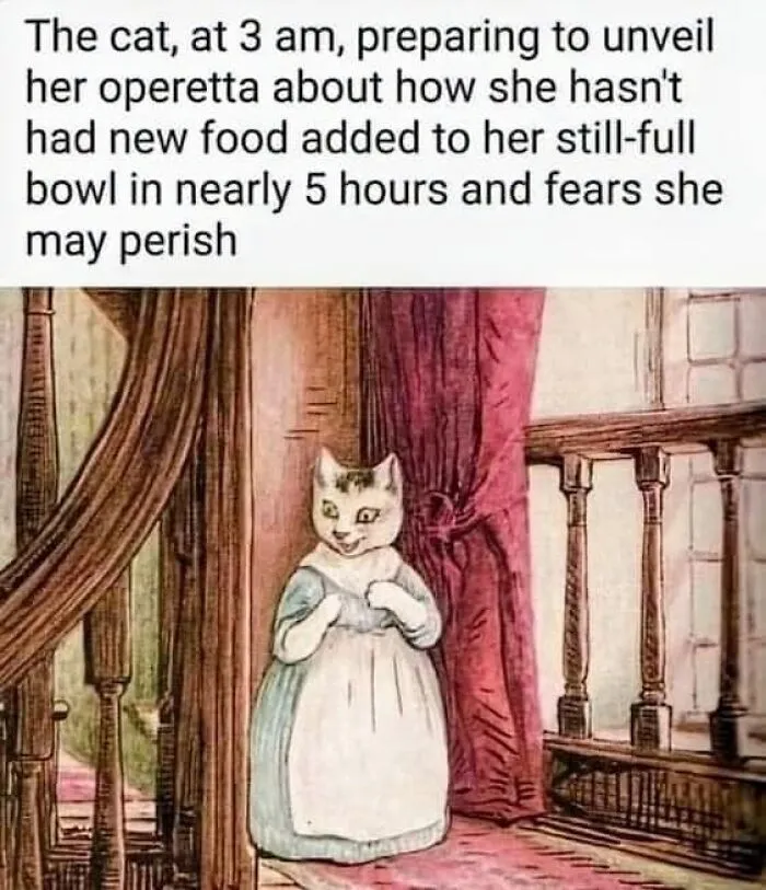 50 Hilarious And Adorable Cat Memes That Prove Why The Internet Loves Them So Much (New Pics)