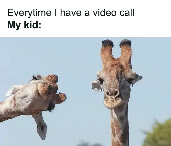 Toddlers Have No Chill: Memes Parents Will Know All Too Well
