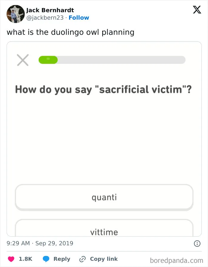 What Is The Duolingo Owl Planning