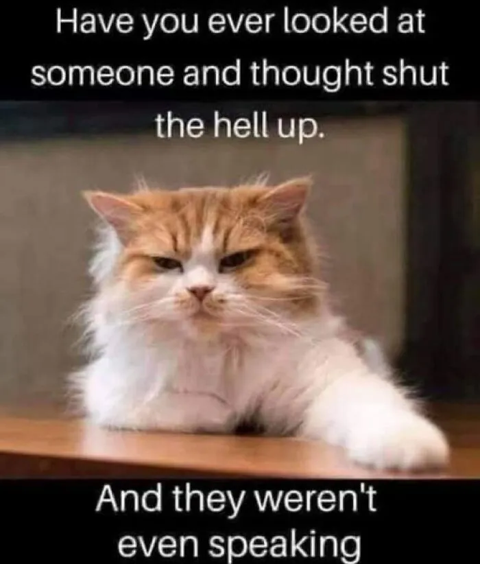 50 Times Animal Pics Were Just A Funny Meme Waiting To Happen