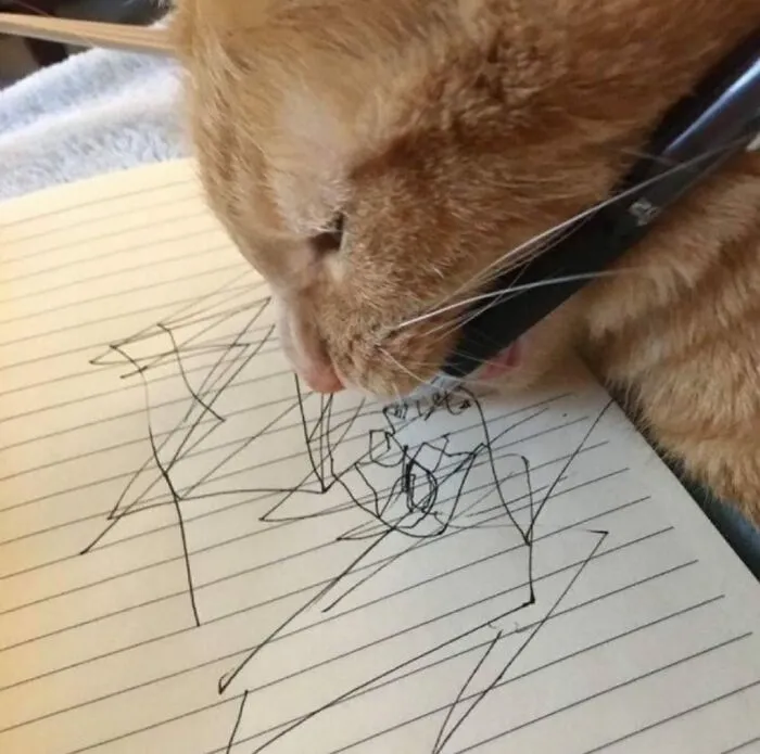 25 Memes de gatos tan divertidos como adorables (nuevas imágenes)