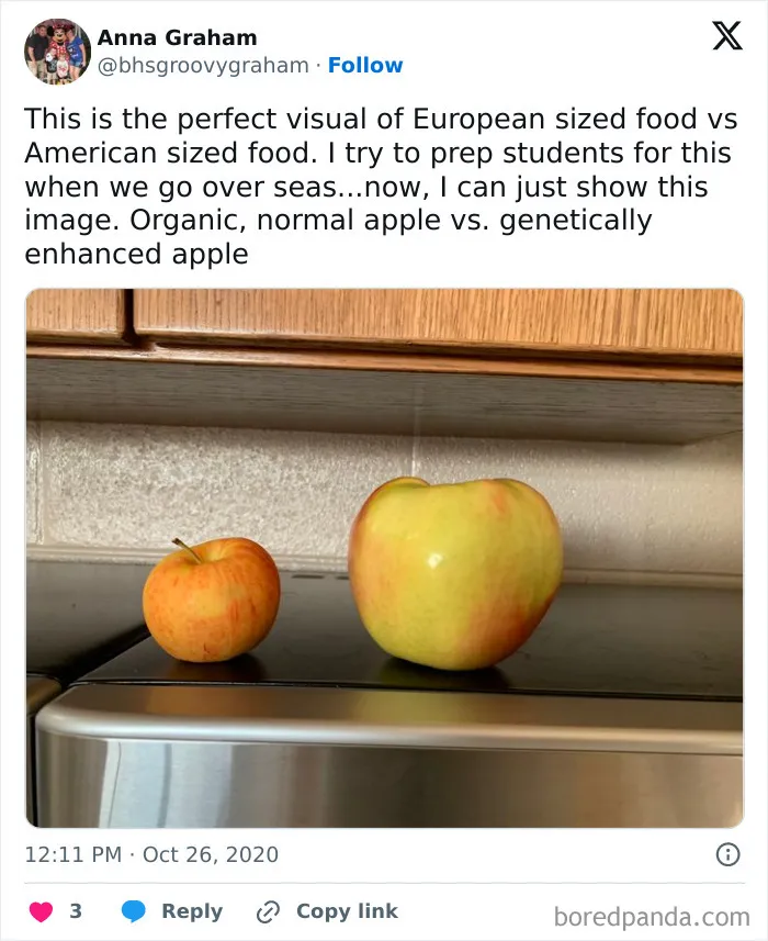 Europe Vs. The US: 30 Hilariously Spot-On Tweets