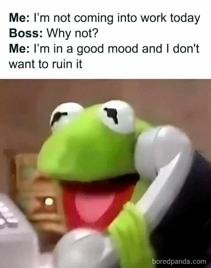 50 Funny Memes That You Might Find Painfully Relatable