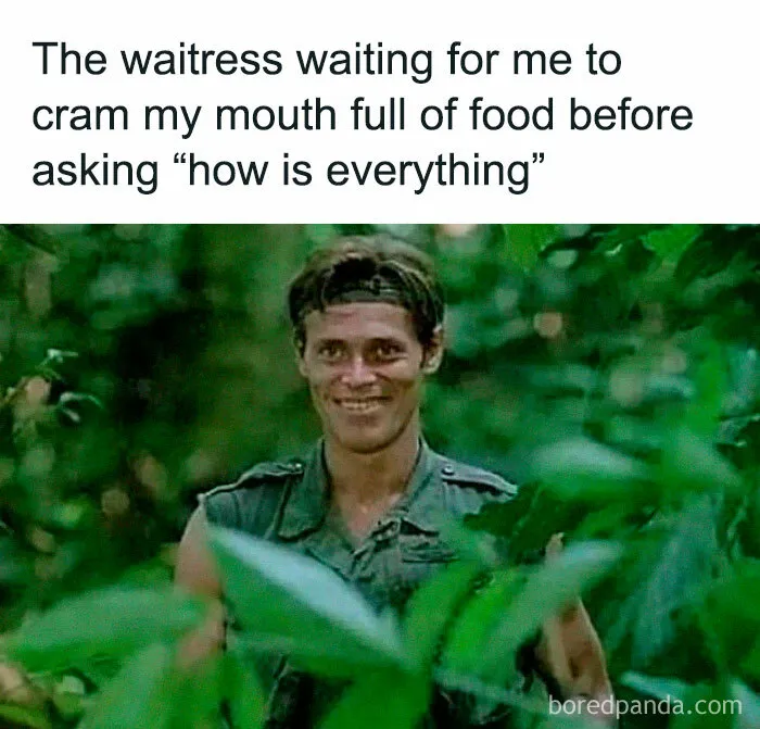50 Funny Memes That You Might Find Painfully Relatable