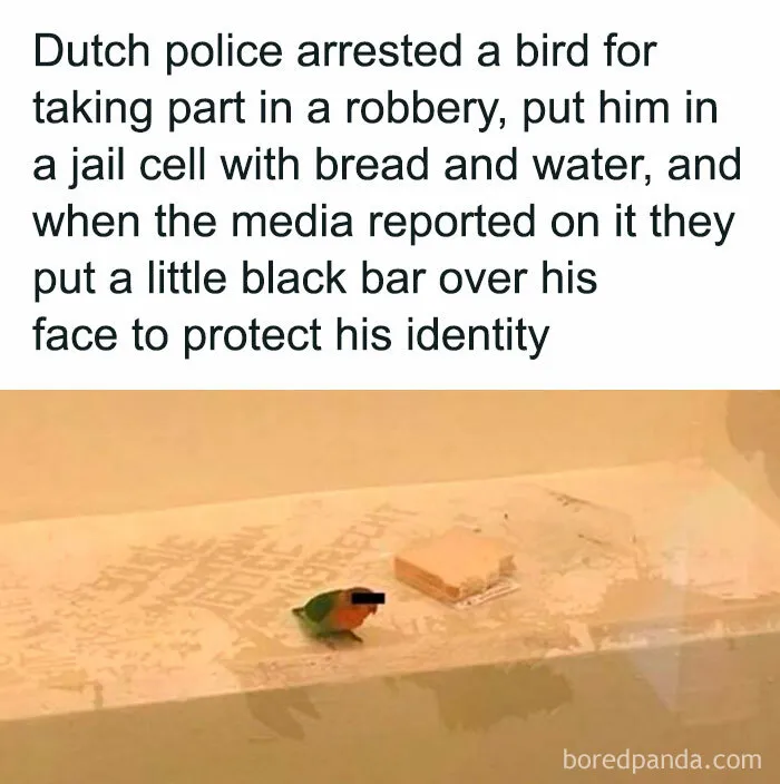 50 Hilarious Memes For Your Daily Dose Of Laughter