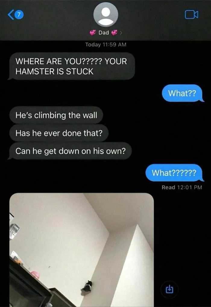 50 Hilarious Memes For Your Daily Dose Of Laughter