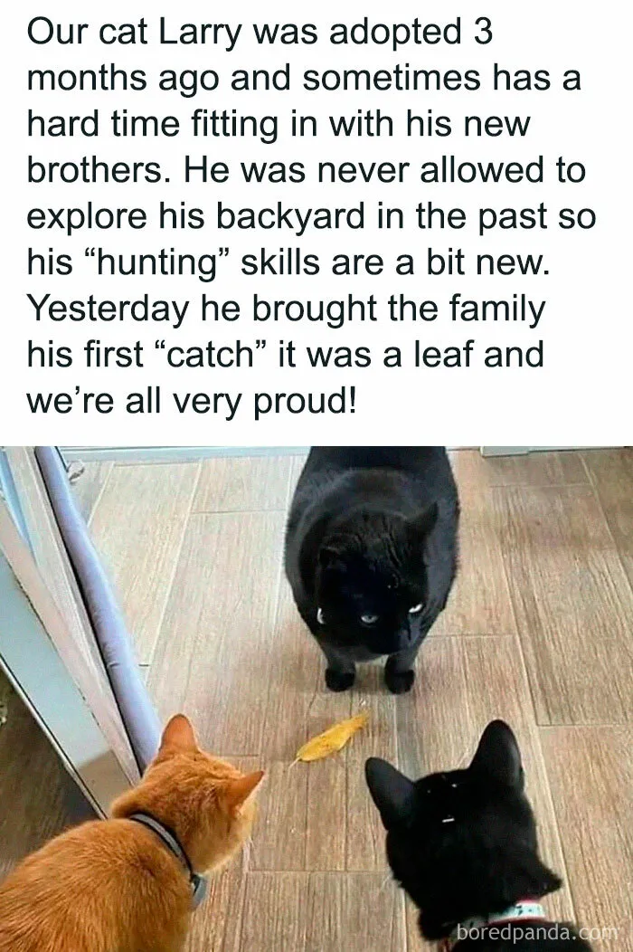 50 Hilarious Memes For Your Daily Dose Of Laughter