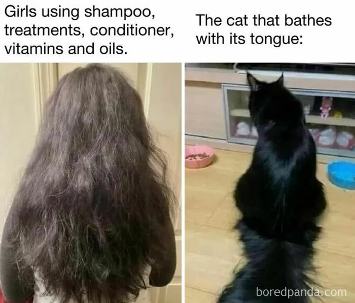 50 Hilarious Memes For Your Daily Dose Of Laughter