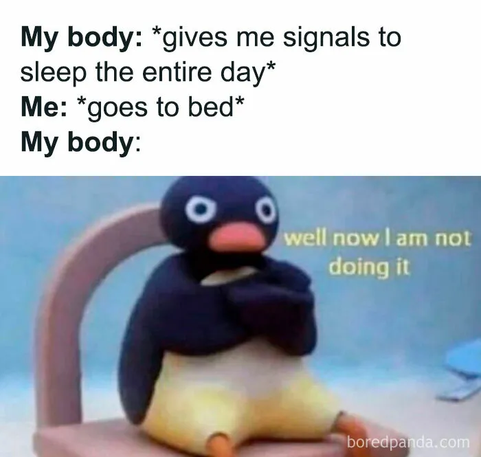 50 Hilarious Memes For Your Daily Dose Of Laughter