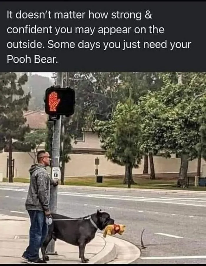 50 Times Animal Pics Were Just A Funny Meme Waiting To Happen