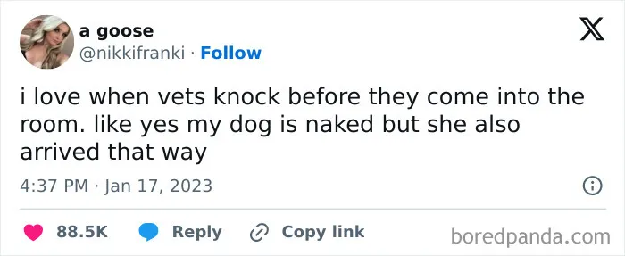 50 Funny Tweets Dedicated To Those Who Like "Tastefully Offensive" Humor (New Posts)