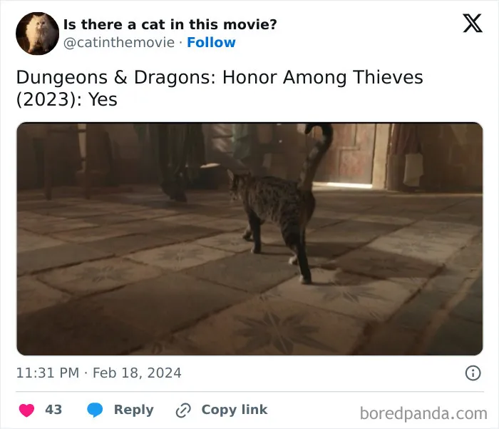 30 Times Cats Were Spotted In A Movie, Uncovered By This Account (New Pics)