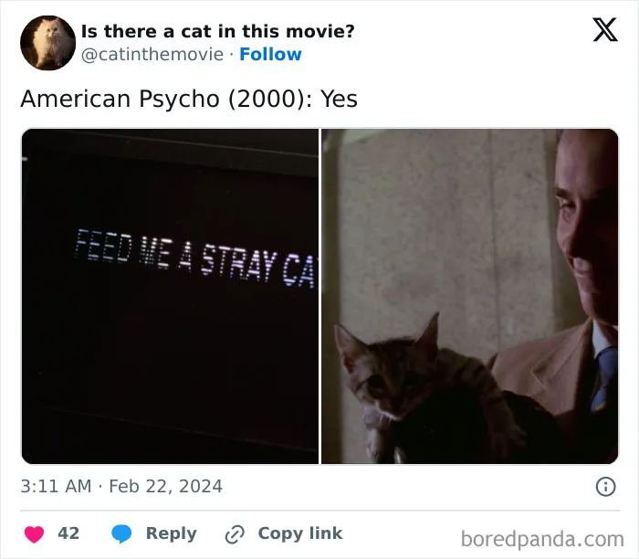 30 Times Cats Were Spotted In A Movie, Uncovered By This Account (New Pics)