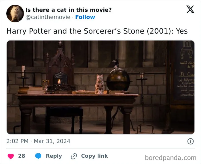 30 Times Cats Were Spotted In A Movie, Uncovered By This Account (New Pics)