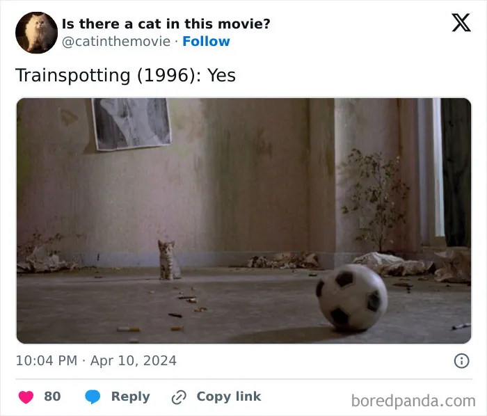 30 Times Cats Were Spotted In A Movie, Uncovered By This Account (New Pics)
