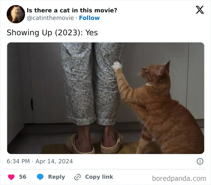 30 Times Cats Were Spotted In A Movie, Uncovered By This Account (New Pics)