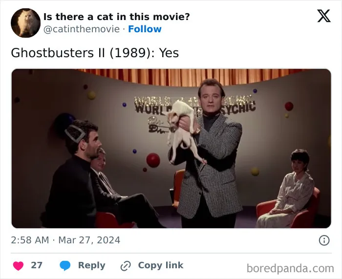 30 Times Cats Were Spotted In A Movie, Uncovered By This Account (New Pics)