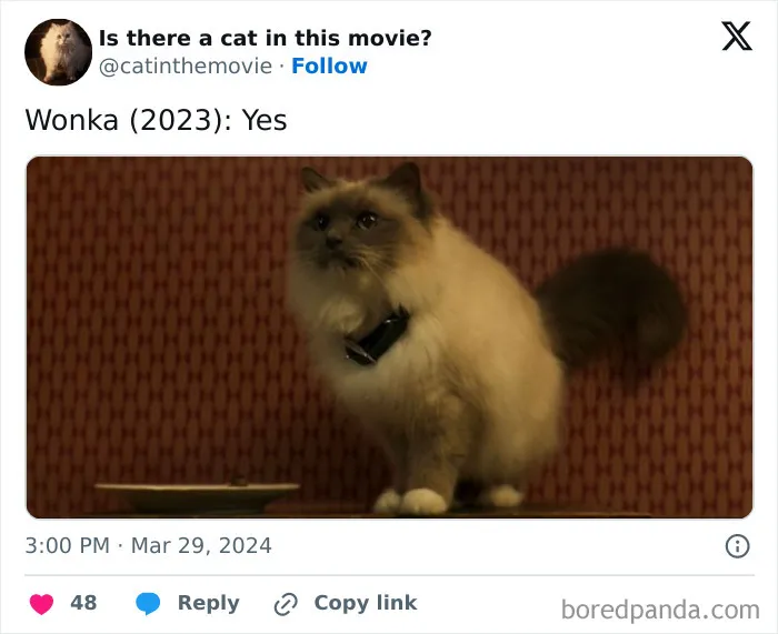 30 Times Cats Were Spotted In A Movie, Uncovered By This Account (New Pics)