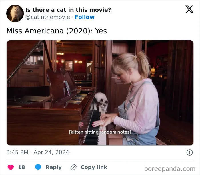 30 Times Cats Were Spotted In A Movie, Uncovered By This Account (New Pics)