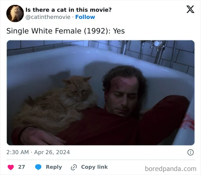 30 Times Cats Were Spotted In A Movie, Uncovered By This Account (New Pics)