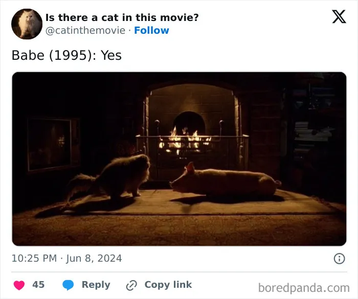 30 Times Cats Were Spotted In A Movie, Uncovered By This Account (New Pics)