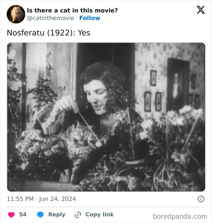 30 Times Cats Were Spotted In A Movie, Uncovered By This Account (New Pics)