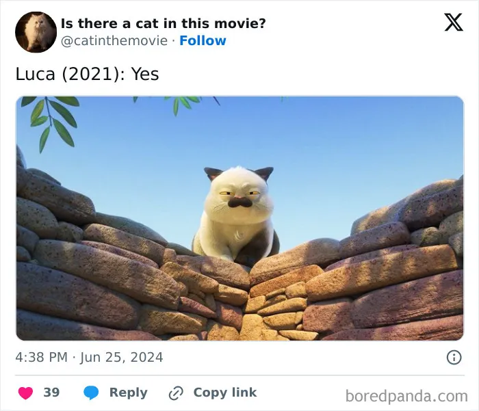 30 Times Cats Were Spotted In A Movie, Uncovered By This Account (New Pics)