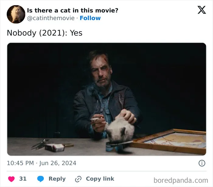 30 Times Cats Were Spotted In A Movie, Uncovered By This Account (New Pics)