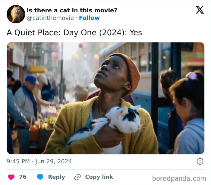30 Times Cats Were Spotted In A Movie, Uncovered By This Account (New Pics)
