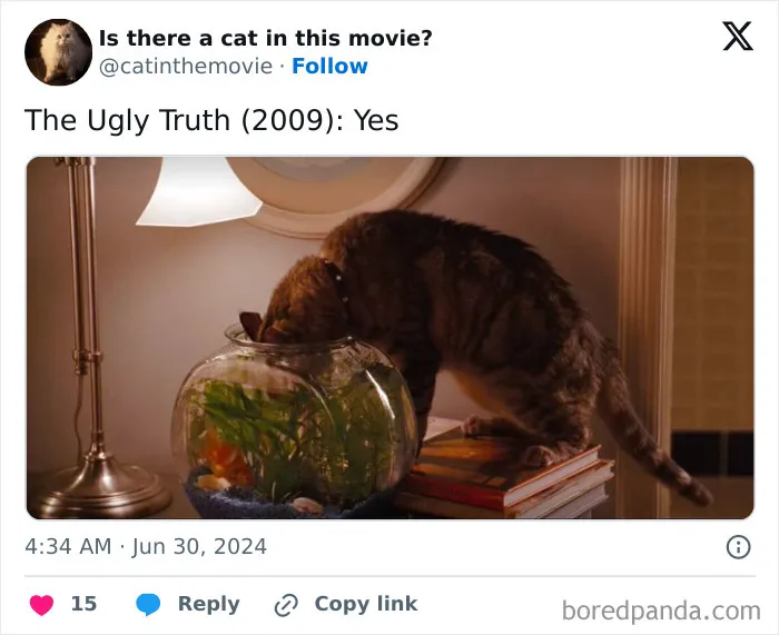 30 Times Cats Were Spotted In A Movie, Uncovered By This Account (New Pics)