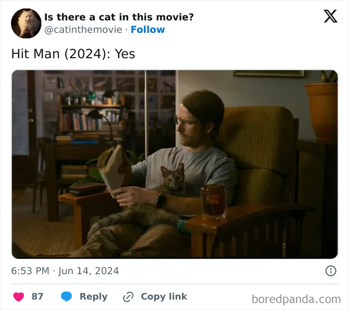 30 Times Cats Were Spotted In A Movie, Uncovered By This Account (New Pics)