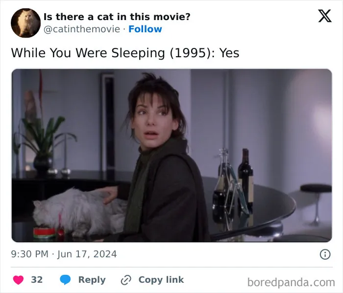 30 Times Cats Were Spotted In A Movie, Uncovered By This Account (New Pics)