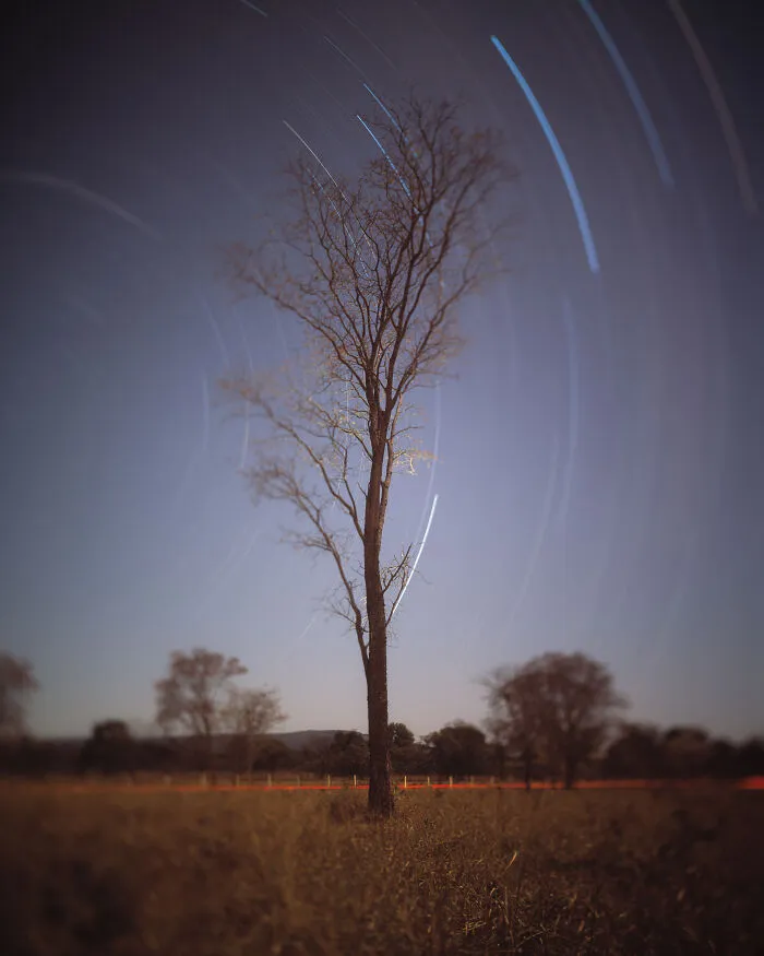Honorable Mention: "Solitude" By Cristiano Xavier