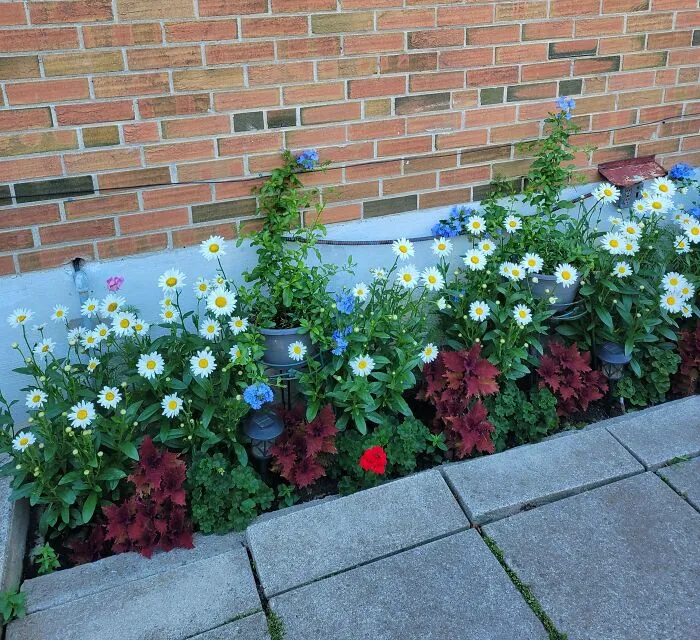 Flora's Garden