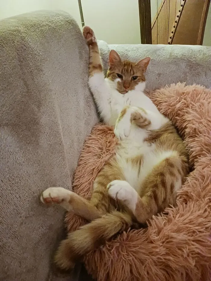 Max Chillin'