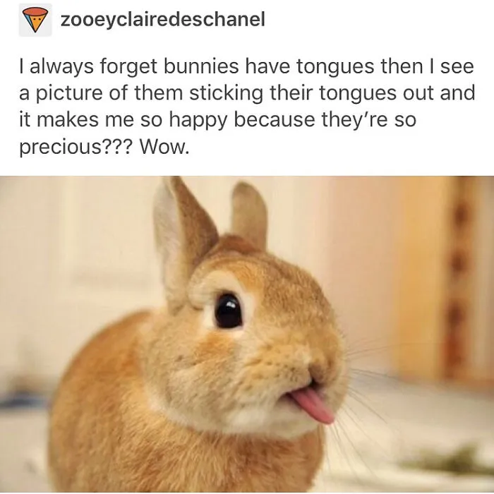 50 Feel-Good Photos To Cheer You Up
