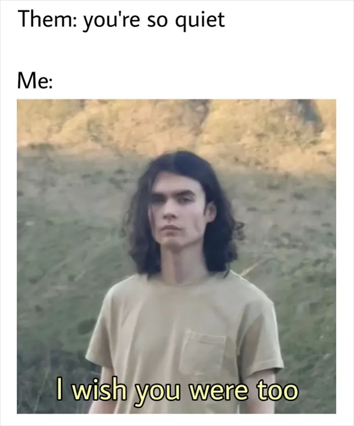 35 Funny Memes Made By An Introvert For Introverts