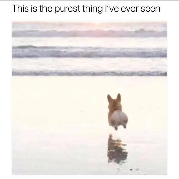 50 Feel-Good Photos To Cheer You Up