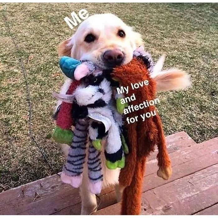 50 Feel-Good Photos To Cheer You Up