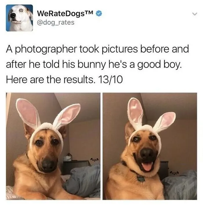 50 Feel-Good Photos To Cheer You Up