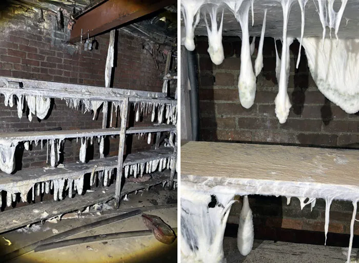 Found This Is An Abandoned Building In The Basement, It Has To Be Mold