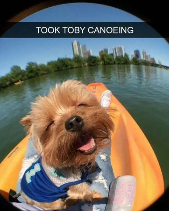50 Feel-Good Photos To Cheer You Up