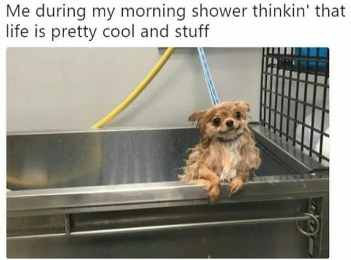 50 Feel-Good Photos To Cheer You Up