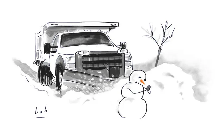 From There, It Snowballed Into A Career