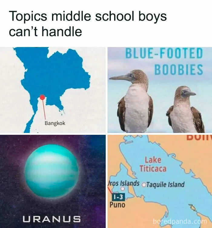 Funny Facebook group post with maps and birds labeled with humorous names that middle school boys can't handle.